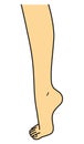 Bare foot, leg, tiptoe, side view, illustration Royalty Free Stock Photo